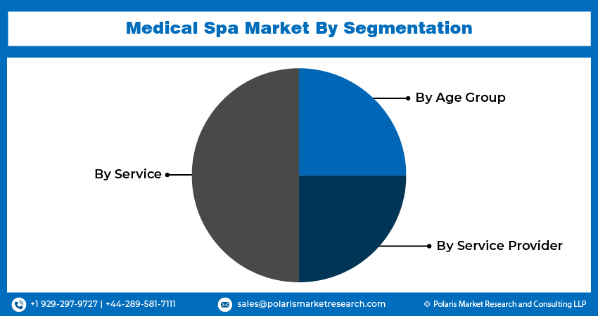 Medical Spa Market seg
